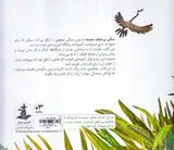 سنگ بی حرکت نشسته